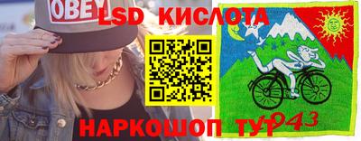 шишки Усть-Илимск