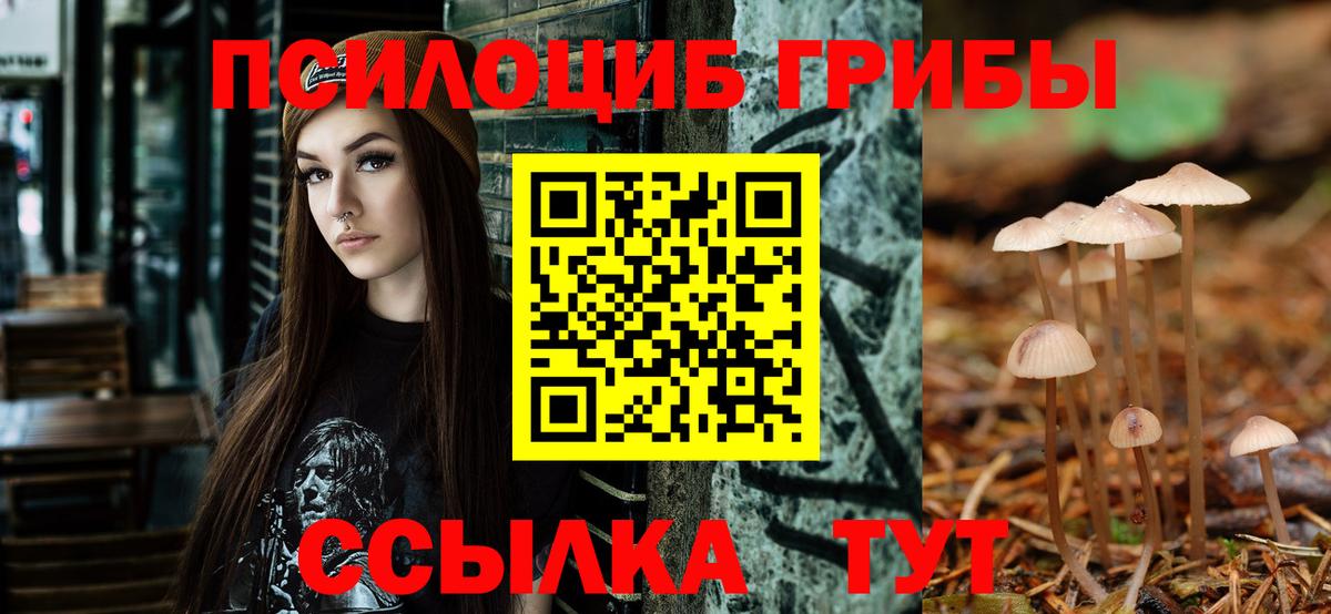 Галлюциногенные грибы Psilocybine cubensis Рославль